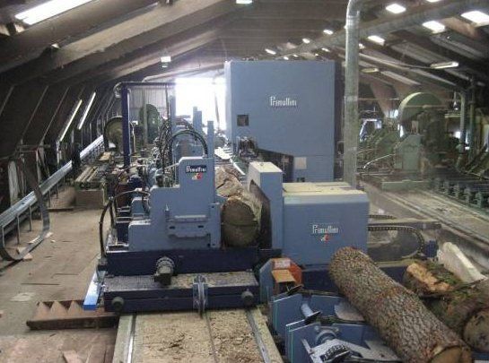 Tree trunk in sawmill