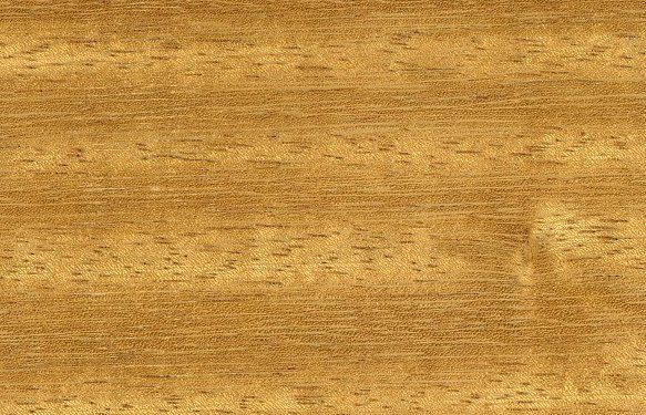 Kiln Dried Iroko