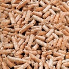 pellet