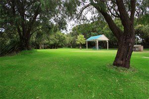 park