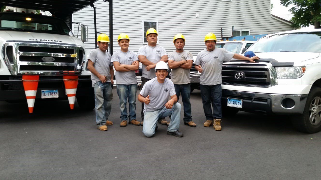 Johnny C. Tree Services