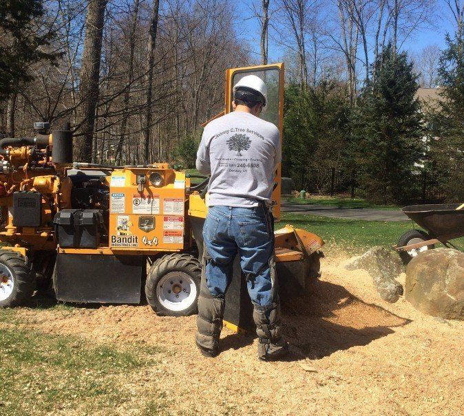 Stump Removal