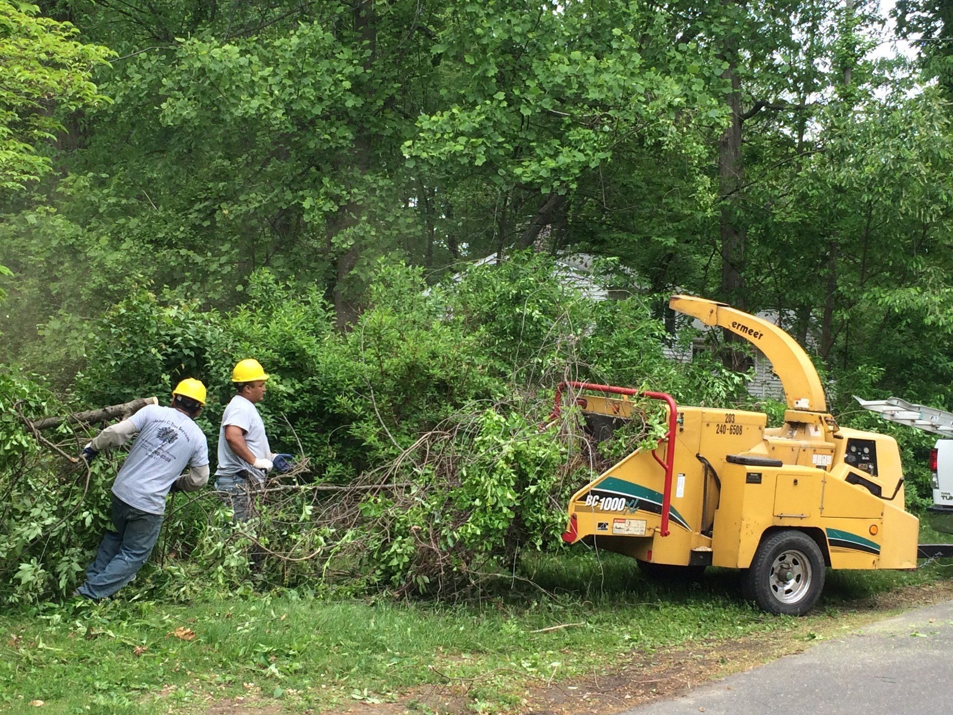 Brush Chipping