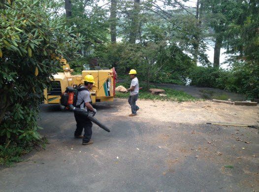 Fall & Spring Cleanup