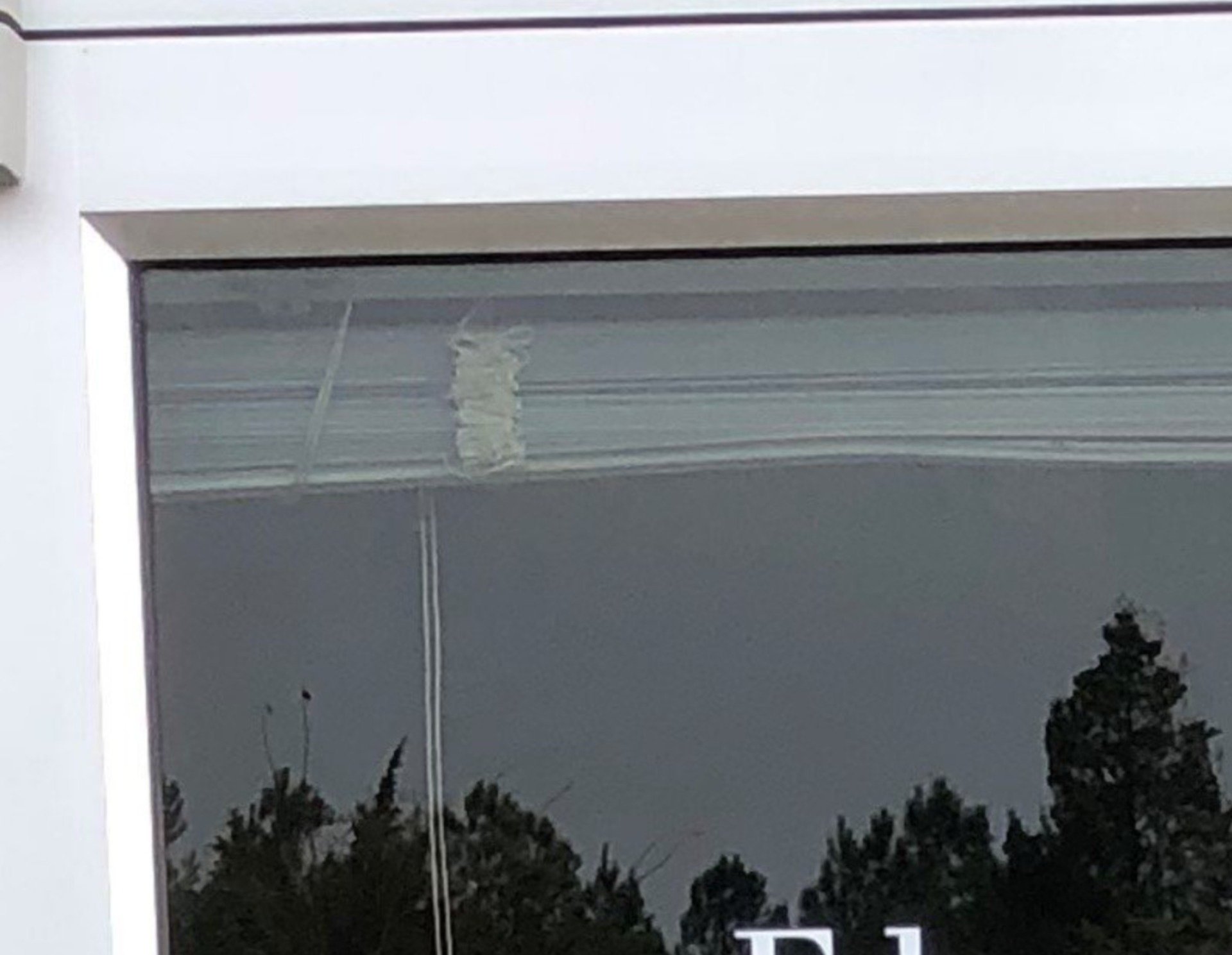 storefront tint installed to office glass door and windows in Montgomery AL - professionally Tinted Glass 331