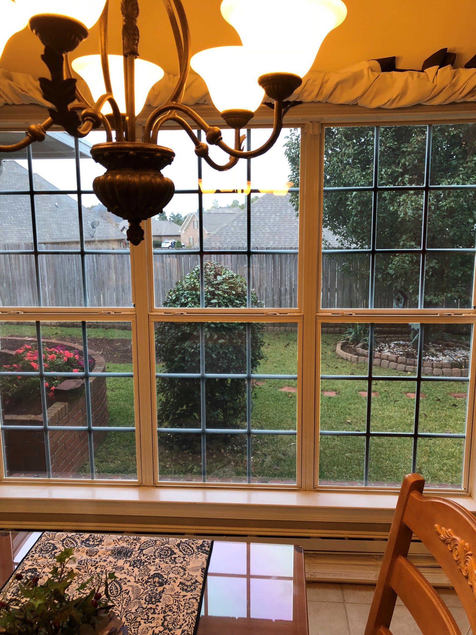 Great visibility now, looking out of SPF Tinted Prattville home windows