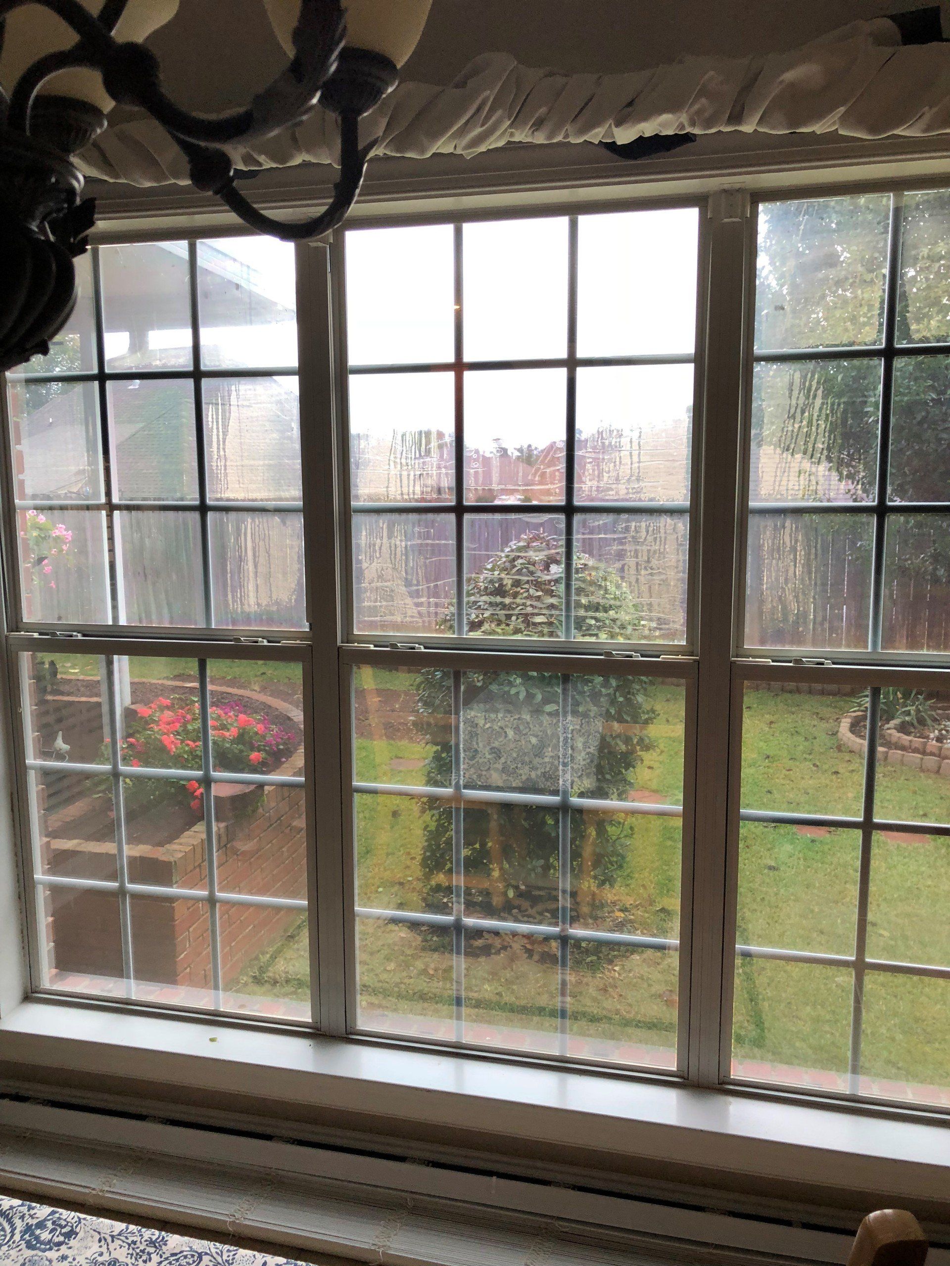 Poor visibility through old generic tinted windows.