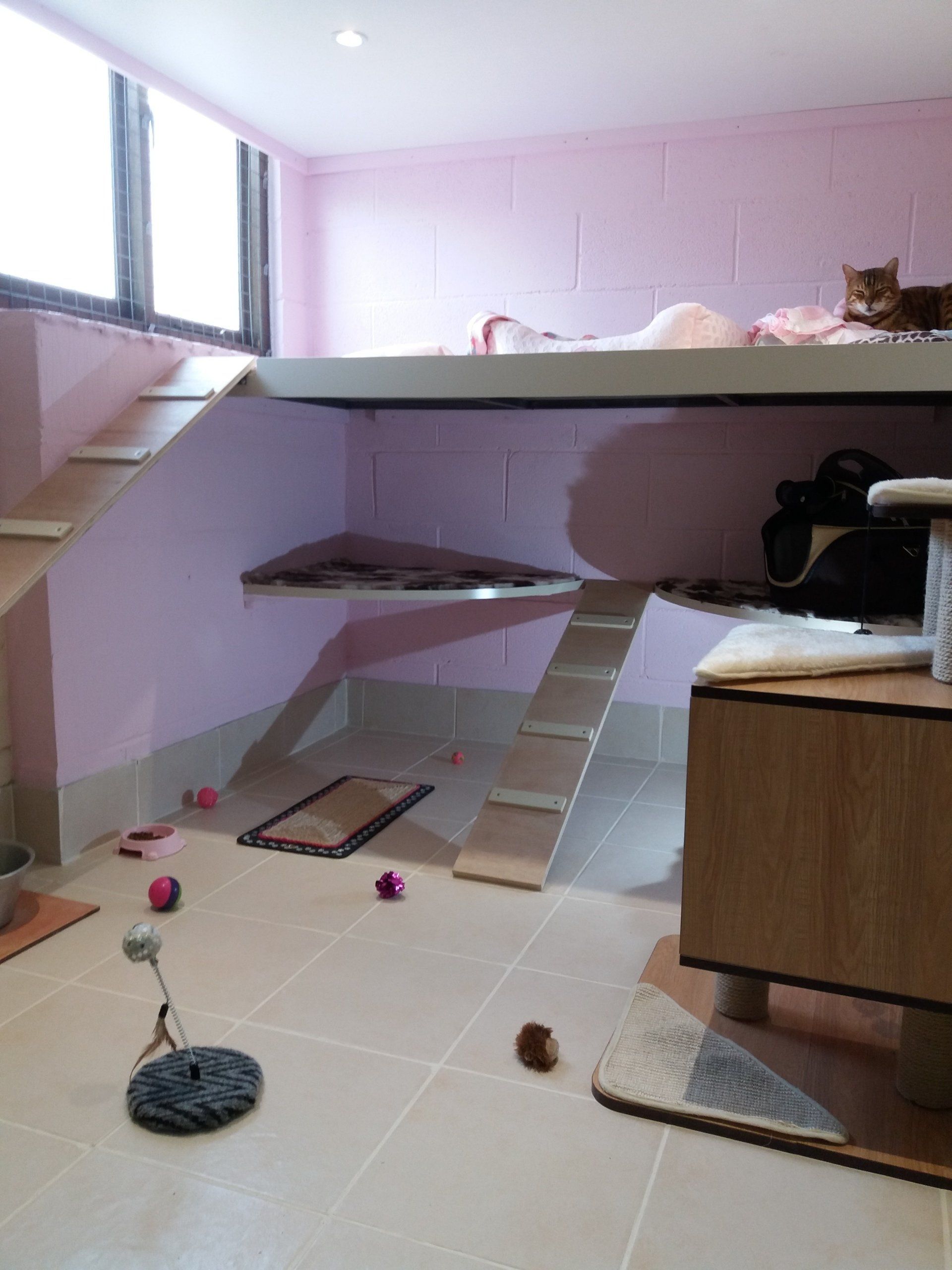 For a cattery in Melton Mowbray call 01664 490 787 Cat