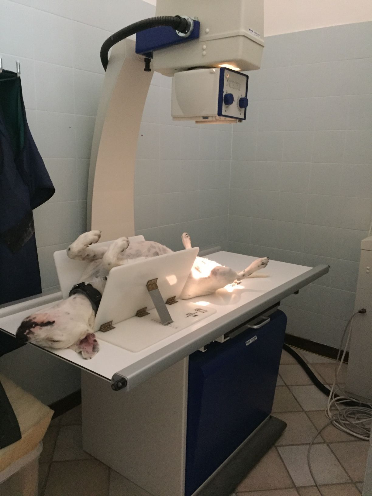Radiologia digitale