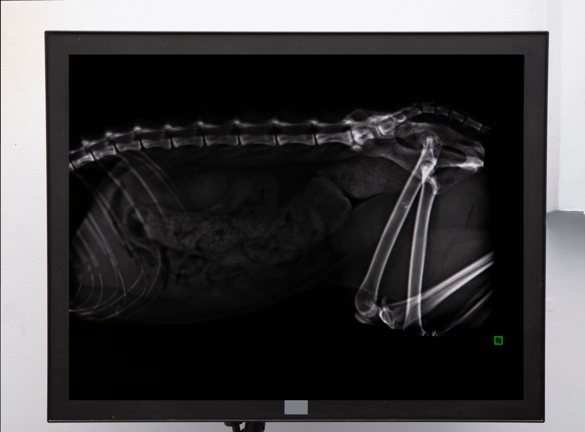 Radiologia digitale