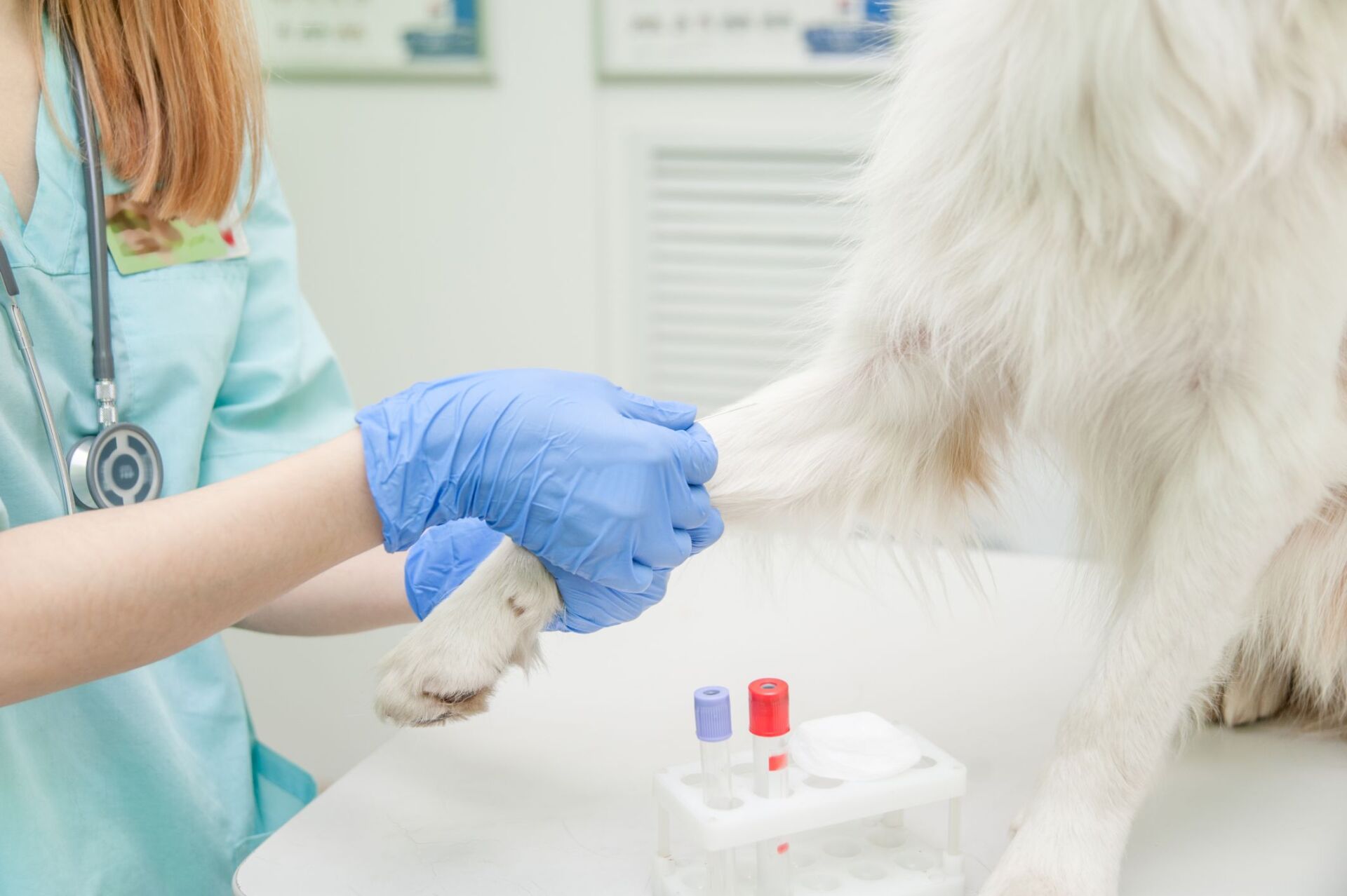 Laboratorio di analisi