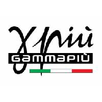 Logo GammaPiù