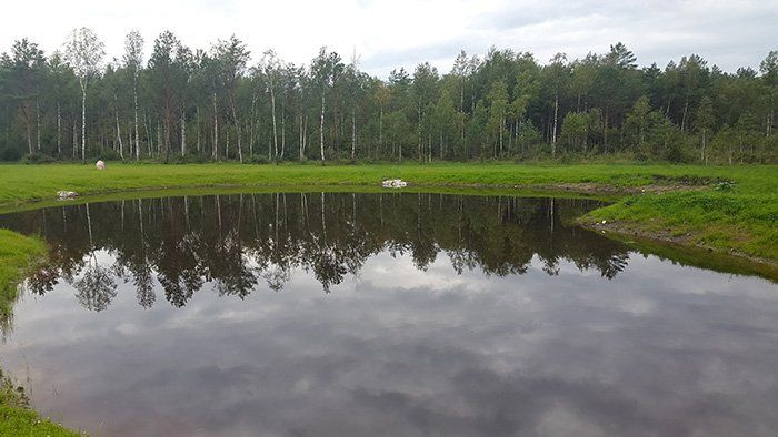 Gerbūvio darbai