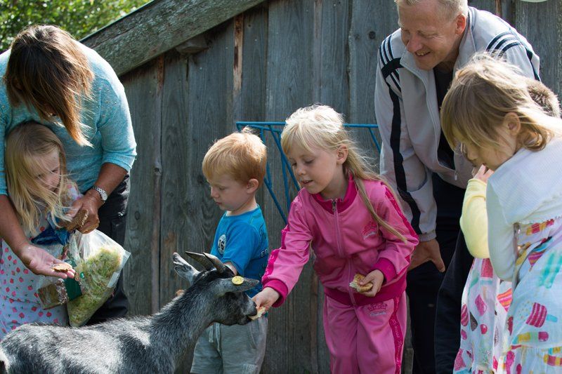Familie hygger sig med at fodre klappegederne.