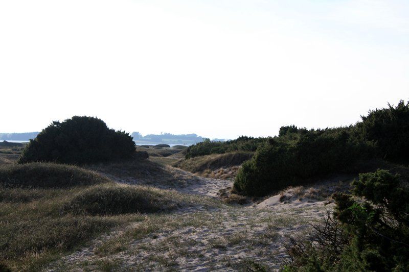 Dejlige sandklitter og naturlandskab nær pladsen.