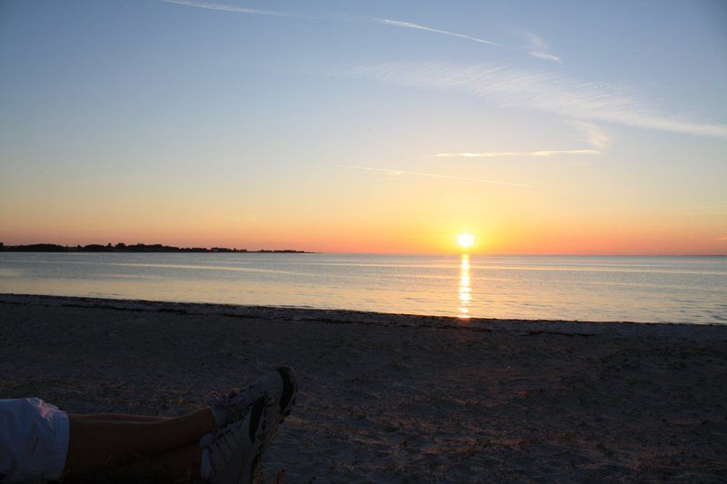 Den storslåede og fredelige natur omkring Vesterlyng Camping på Sjælland.