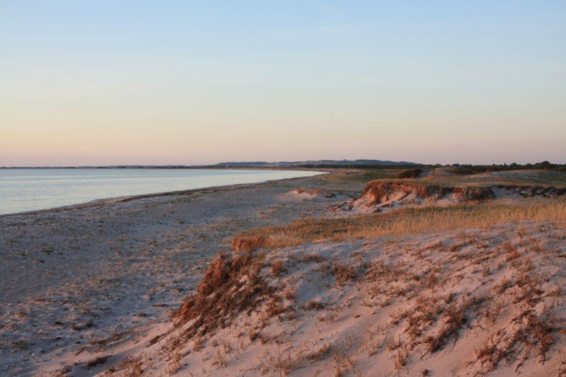 Den storslåede og fredelige natur omkring Vesterlyng Camping på Sjælland.