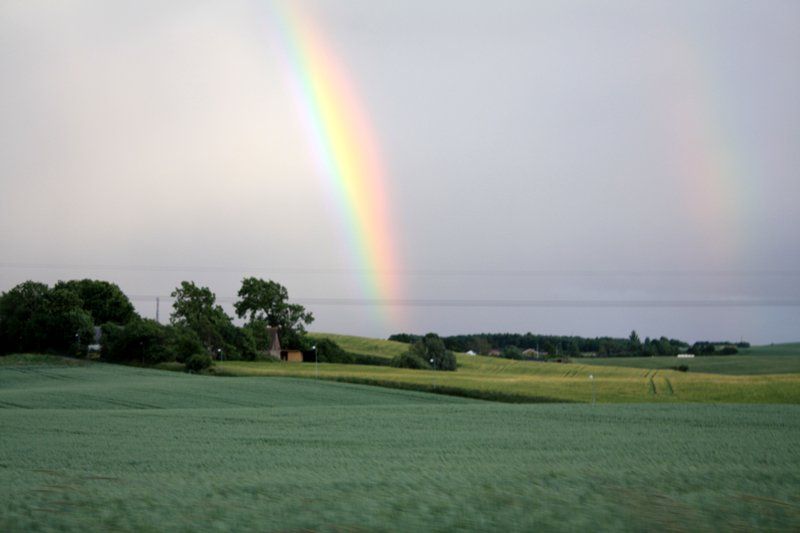 Vesterlyng Regnbue