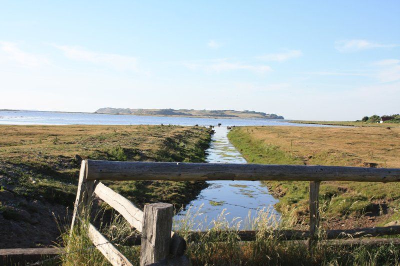 Vandløb på Vesterlyng