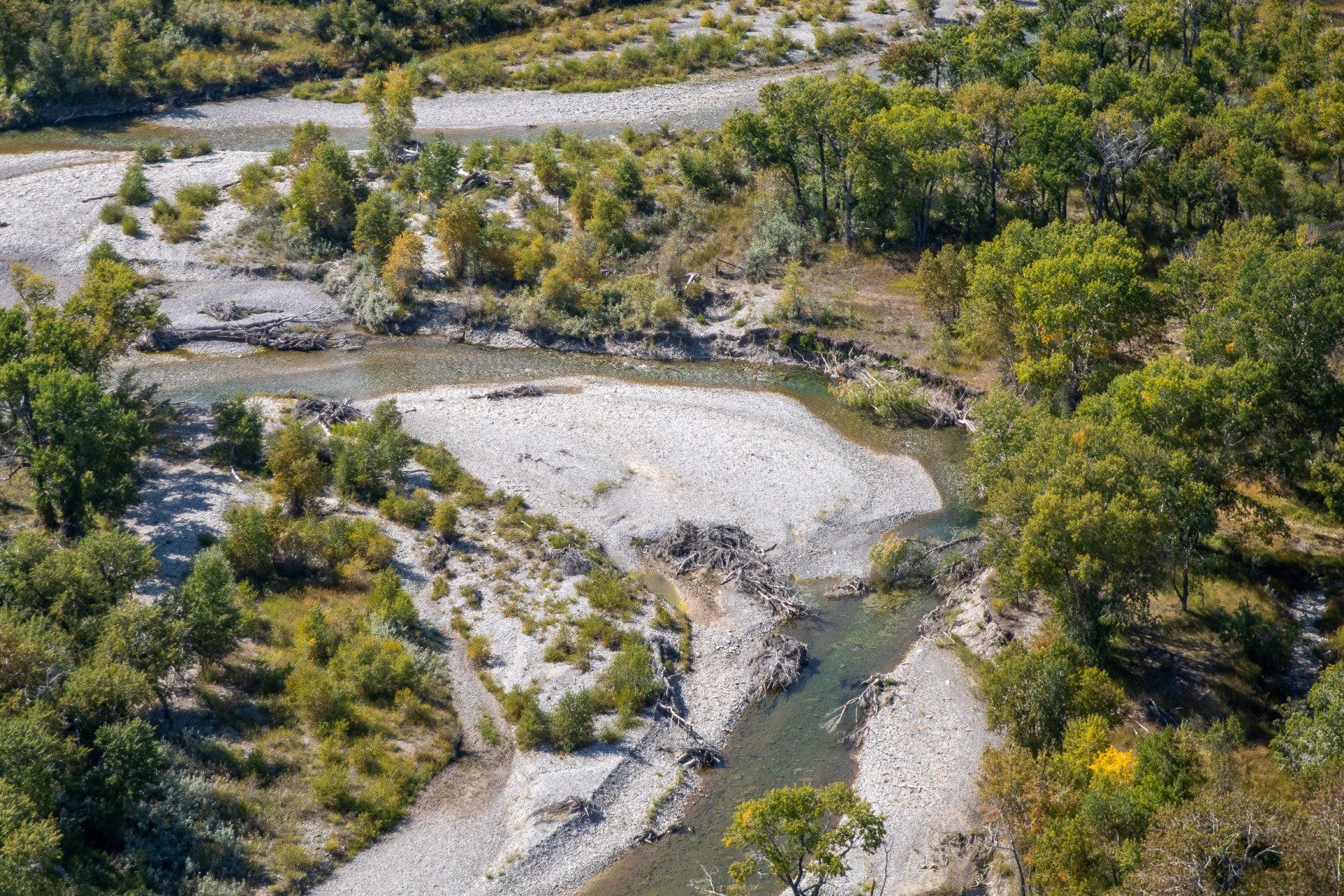 Aerial Survey of Riparian Area