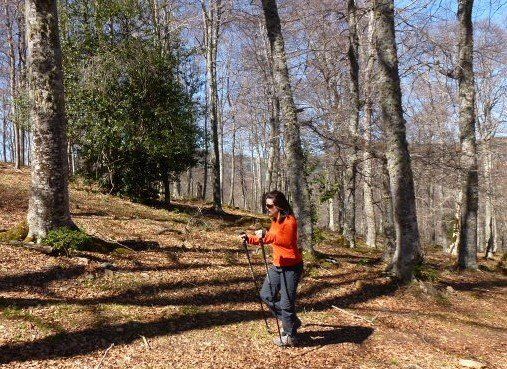 Senderismo por la Sierra de Cameros con Riojaventura.