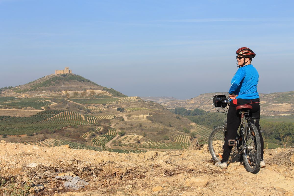 Recorridos en bicicleta por los viñedos de La Rioja.