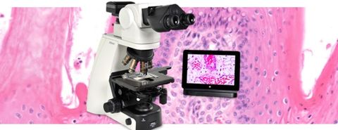 Nikon Microscopes - Woman using microscope in Madisonville, LA