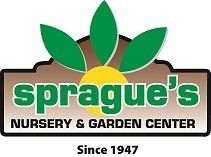 sprague's