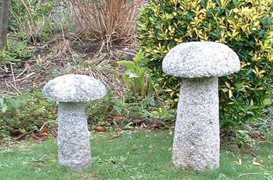 mushroom stone