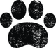 Pets Welcome