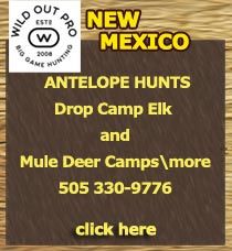 New Mexico hunting outfitter, NM elk hunting outfitter, NM elk hunting guide