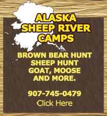 Alaska brown bear hunting, Alaska brown bear hunt, Outfitter, Guide