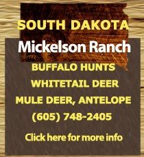 buffalo hunting, buffalo hunt, South Dakota hunting outfitter, South Dakota hunting guide