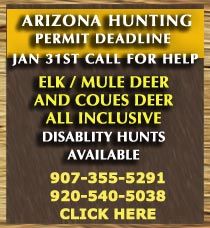 Arizona elk hunting, Arizona elk hunt, Outfitter, Guide, Mule deer
