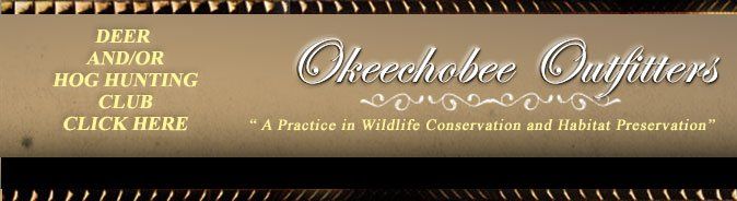 Alligator Hunting Outfitter, Alligator hunting guide