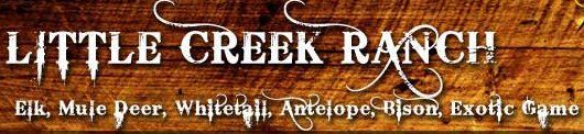 Colorado elk hunting, Colorado Elk hunt, Elk hunting Outfitter