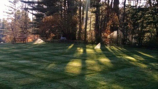 Lawn and chair — New Landscape Installation in Bellows Falls, VT Lawn and chair — New Landscape Installation in Bellows Falls, VT