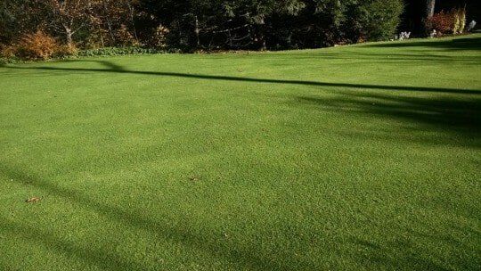 Beautifully trimmed lawn — Lawn Maintenance in Bellows Falls, VT Beautifully trimmed lawn — Lawn Maintenance in Bellows Falls, VT