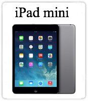 A gray iPad mini is shown against a white background, displaying its screen and back side.