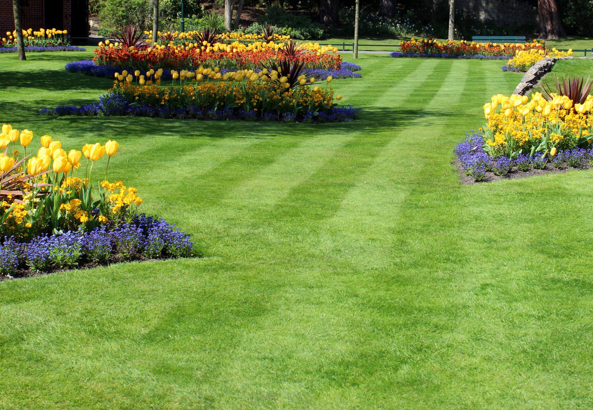 Park — Park with Colourful Spring Flowers and Tulip Bulbs in Louisville, KY