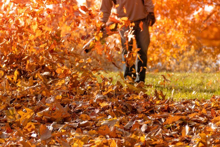 Electrical Blower — Electrical Blower Cleaning Leaves from Front Yard during Autumn in Louisville, KY