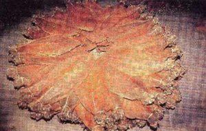 Un pezzo circolare di legno è appoggiato su un tavolo.