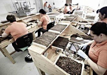 Un gruppo di persone lavora in una fabbrica che produce sigari
