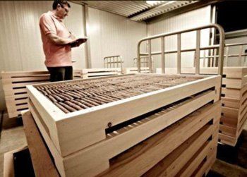 Un uomo con una maglietta rosa sta guardando un pezzo di legno
