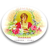 Una donna con un vestito rosso è circondata da fiori su un piatto bianco.