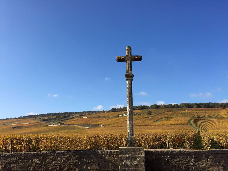 Una croce in un campo con un cielo azzurro sullo sfondo