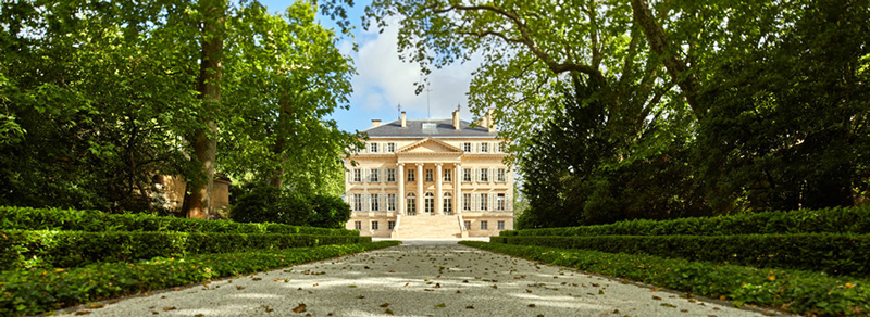 Un grande edificio è circondato da alberi e cespugli