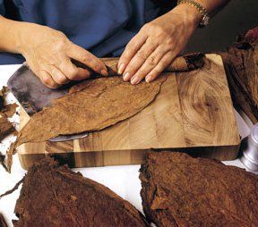 Una persona sta tagliando le foglie di tabacco su un tagliere di legno