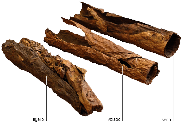 Quattro pezzi di legno sono etichettati con le lettere kerc e voledc