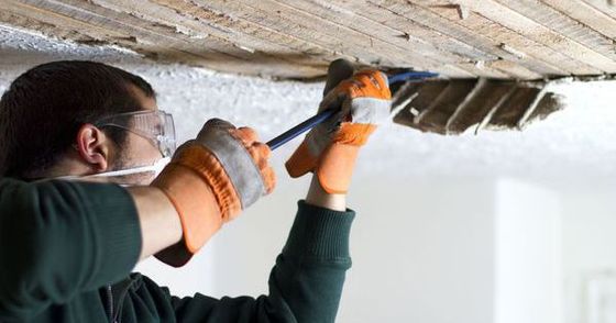 Remodeling and paint jobs in Soldotna, AK
